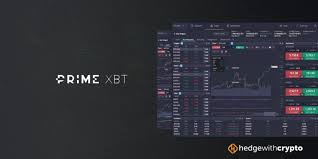 Understanding Crypto Trading Insights A Guide to the PrimeXBT Info Hub Understanding Crypto Trading Insights A Guide to the PrimeXBT Info Hub